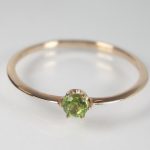 NAR10002    K10PG PR