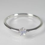 NAR10002    K10WG BMS