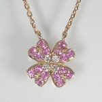 AGNY0456    K18PG PS